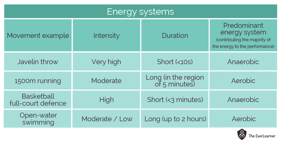 Aerobic energy system outlet activities